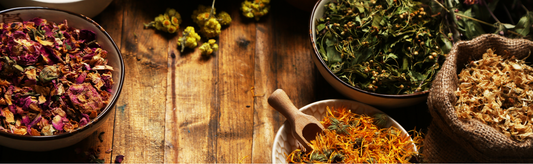 Nature’s Healing Balms: Kawakawa, Calendula & Hemp