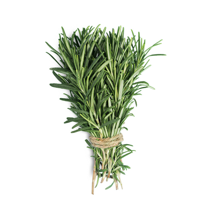 Rosemary Essential Oil