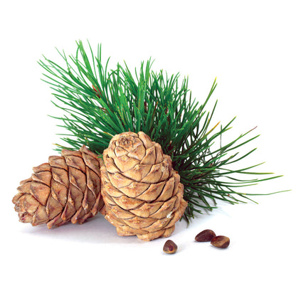 Cedarwood Essential Oil