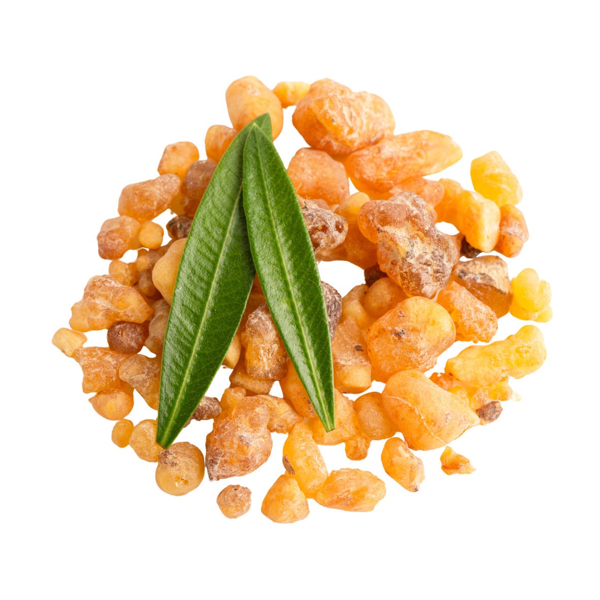 Frankincense Essential Oil