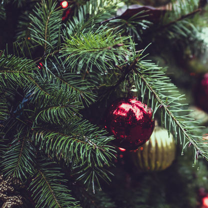 Christmas Tree Fragrance oil, infused with essential oils icluding Cedarwood, Fir, Patchouli and Spearmint. . New Zealand