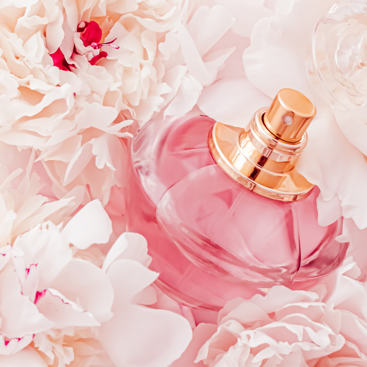 Folar Explosion Fragrance Oil infused with natural essential oils of Mandan, Bergamot and Patchouli. Inspired by the perfume ‘Flowerbomb’ by Viktor & Rolf