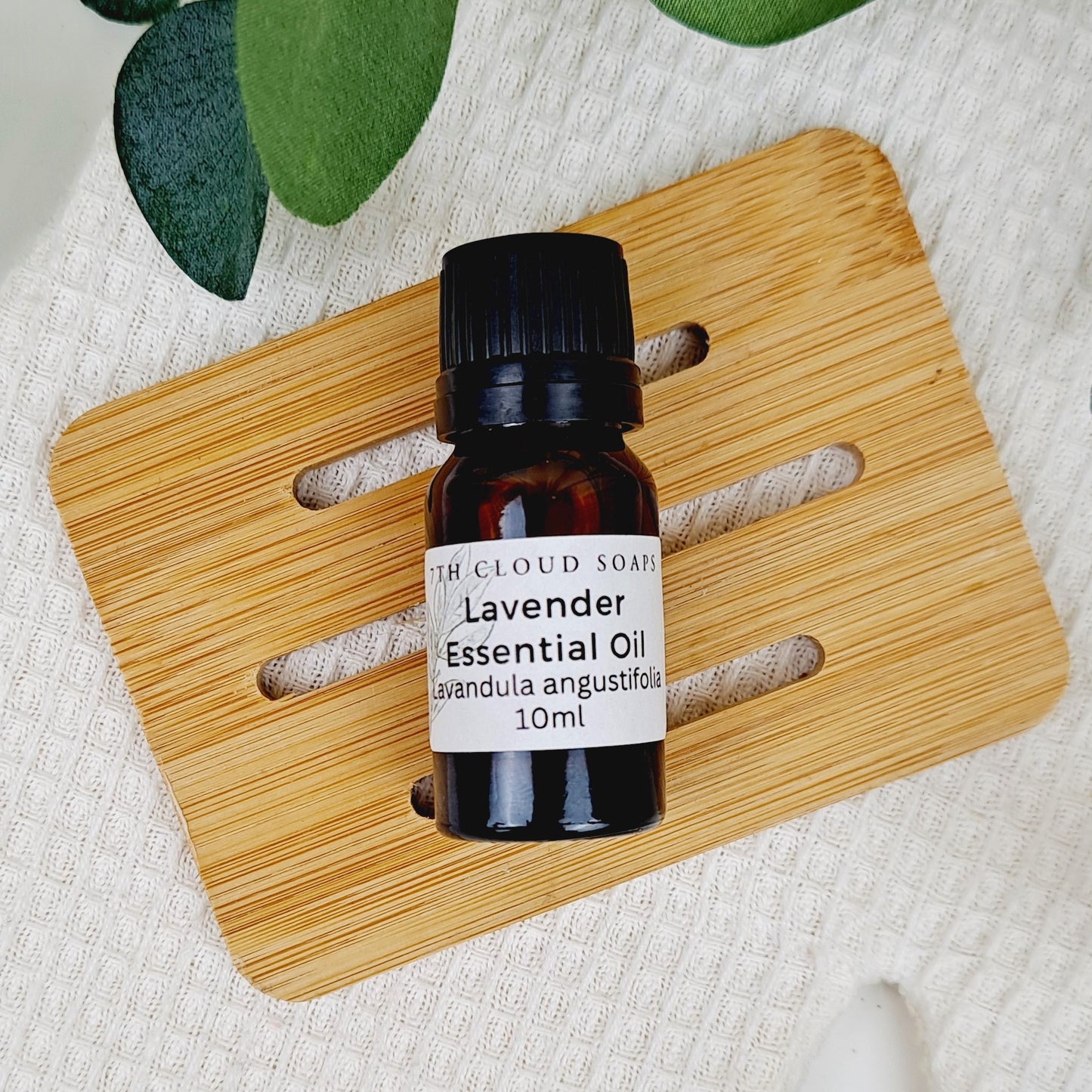 Lavender Essential Oil