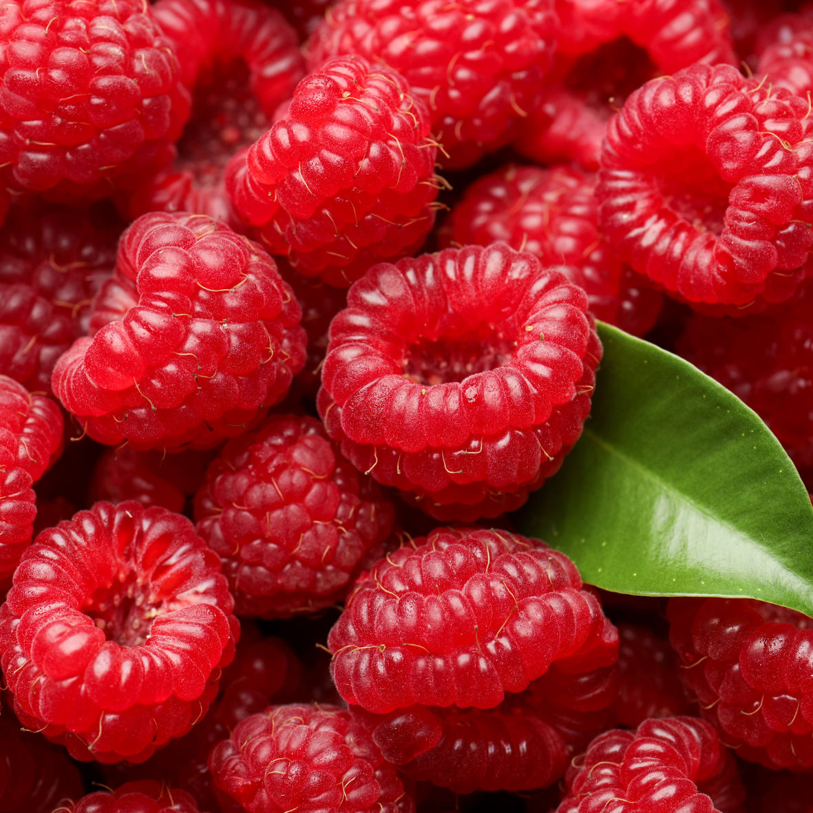 Raspberry and vanilla fragrance oil infuse with Sweet Orange natural essential oil. New Zealand