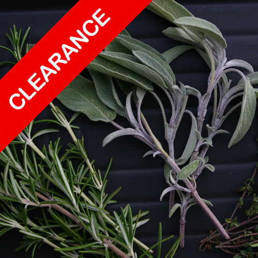 Rosemary Sage fragrance oil SALE. New Zealand